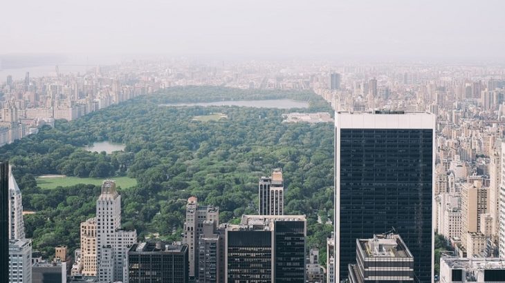 Der New Yorker Central Park