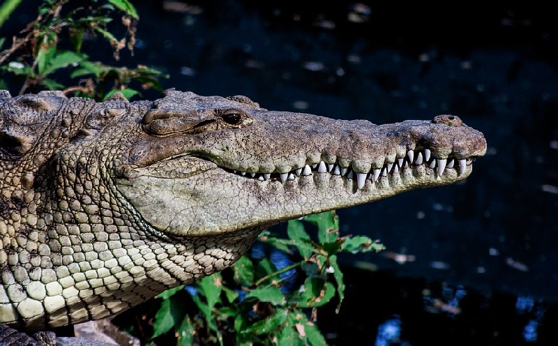El Salvador ein Land voller Sehenswürdigkeiten und Besonderheiten